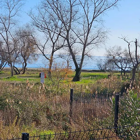Superbe Vue Terrasse Couverte Face à La Linguizzetta