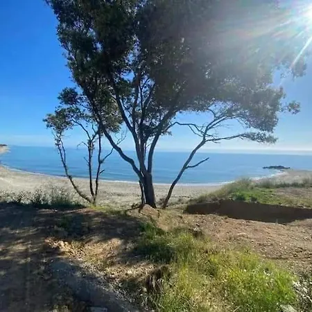 Superbe Vue Terrasse Couverte Face A La Lägenhet *