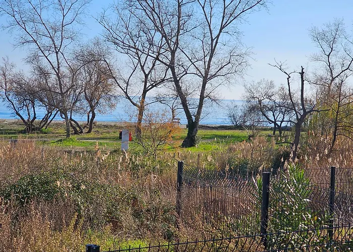 Superbe Vue Terrasse Couverte Face A La Linguizzetta